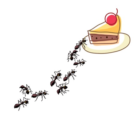 「すまいの便利屋さん」快適生活のアイデア6:食べ物へのアリの侵入を防ぐには?