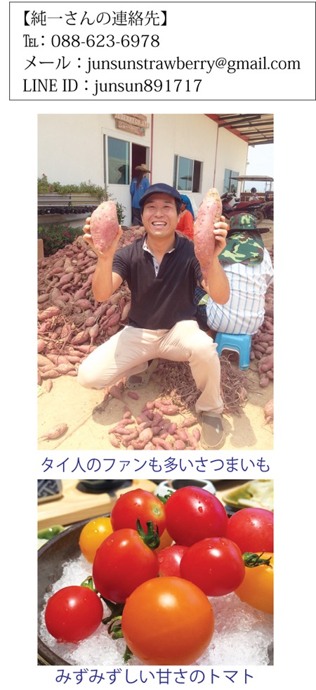 タイでは貴重な日本種のいちごの栽培に成功した日本人、伊奈純一さん（42歳）。