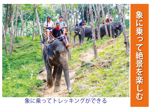 「プーケット旅行センター」で象に乗って絶景を楽しむ