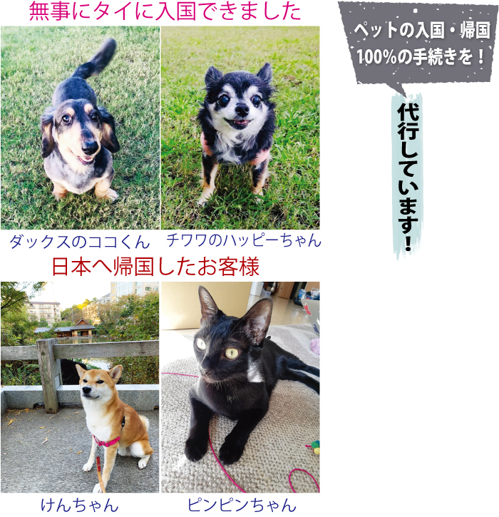 トゥインクルペットパークではペットの入国・帰国100%の手続きを!代行しています!