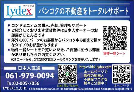 Lydex（リデックス）の広告