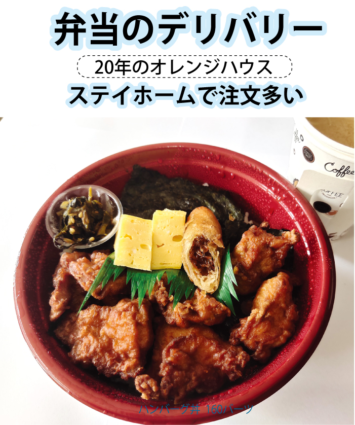 オレンジハウスのハンバーグ丼 160バーツ