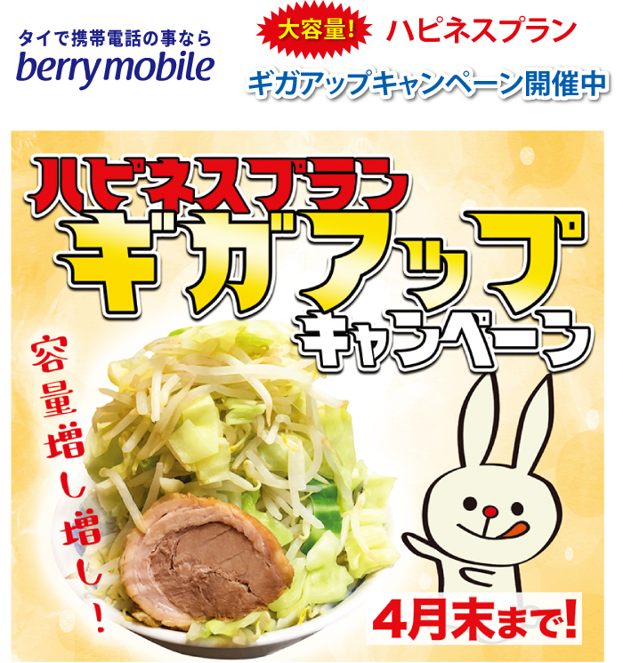 大容量!ハピネスプラン、ギガアップキャンペーン開催中