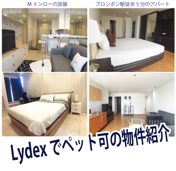 「Lydex（リデックス）」でペット可の物件紹介