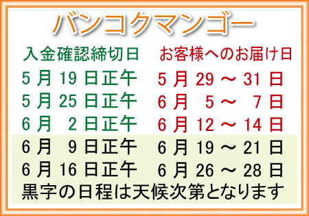 「バンコクマンゴー」マンゴー日本へ宅配が最終
