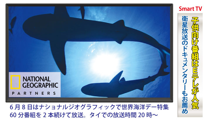 【Smart TV】子供向け番組はEテレが人気、衛星放送のドキュメンタリーもお薦め