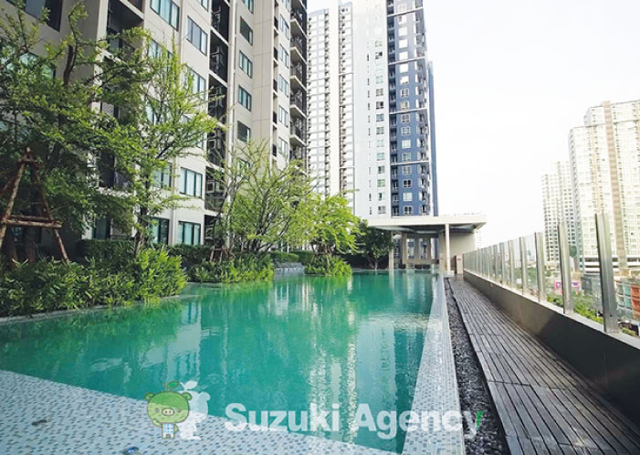 ブロックス77の屋外プール