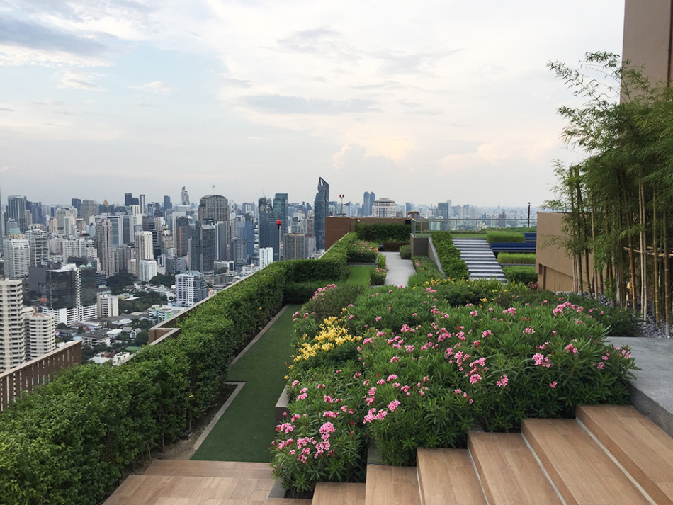 OKA HAUSのルーフトップガーデンからの眺望