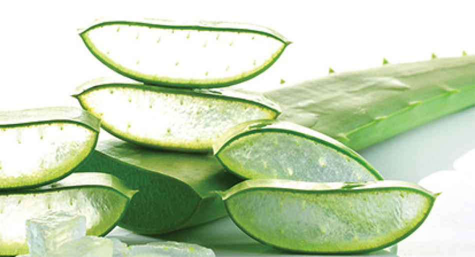 アロエベラの果肉部分をそのまま液状に凝縮