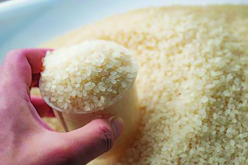 浄水でお米を炊くと白さも長持ちします