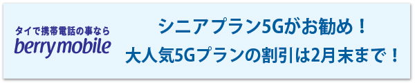 ベリーモバイルのシニアプラン5Gがお勧め! 大人気5Gプランの割引は2月末まで!