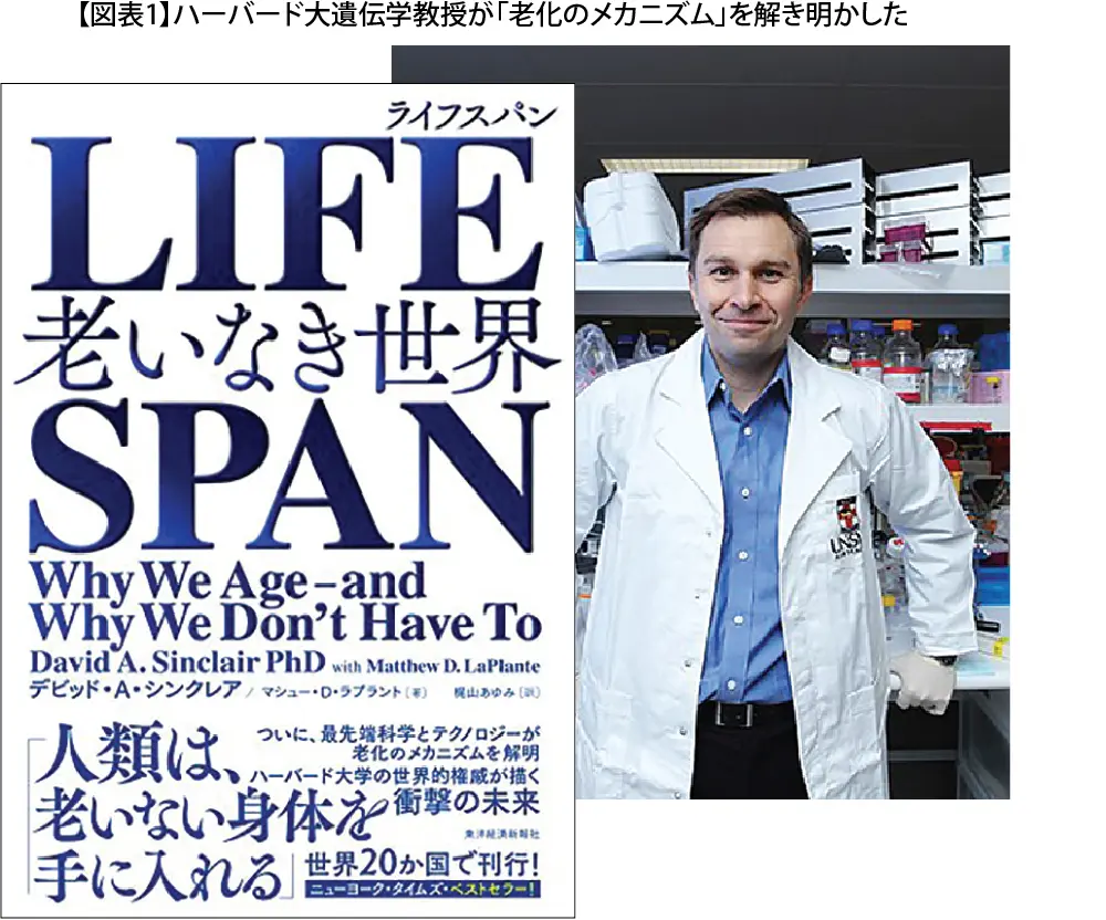 あぱまん情報2022年5月5日掲載 T.W.Y. バンコク都市開発研究所 長寿遺伝子 長寿遺伝子 老化は治療できる病気となるか？ 腹七分目で長生き！  | タイ自由ランド（LLM）