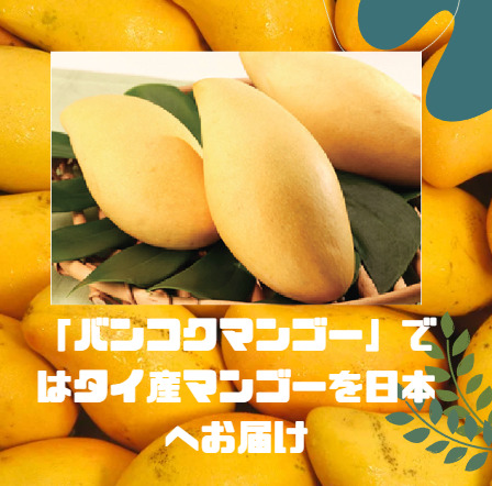 「バンコクマンゴー」ではタイ産マンゴーを日本へお届け