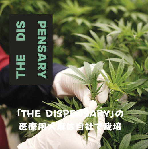 「THE DISPENSARY」の医療用大麻は自社で栽培