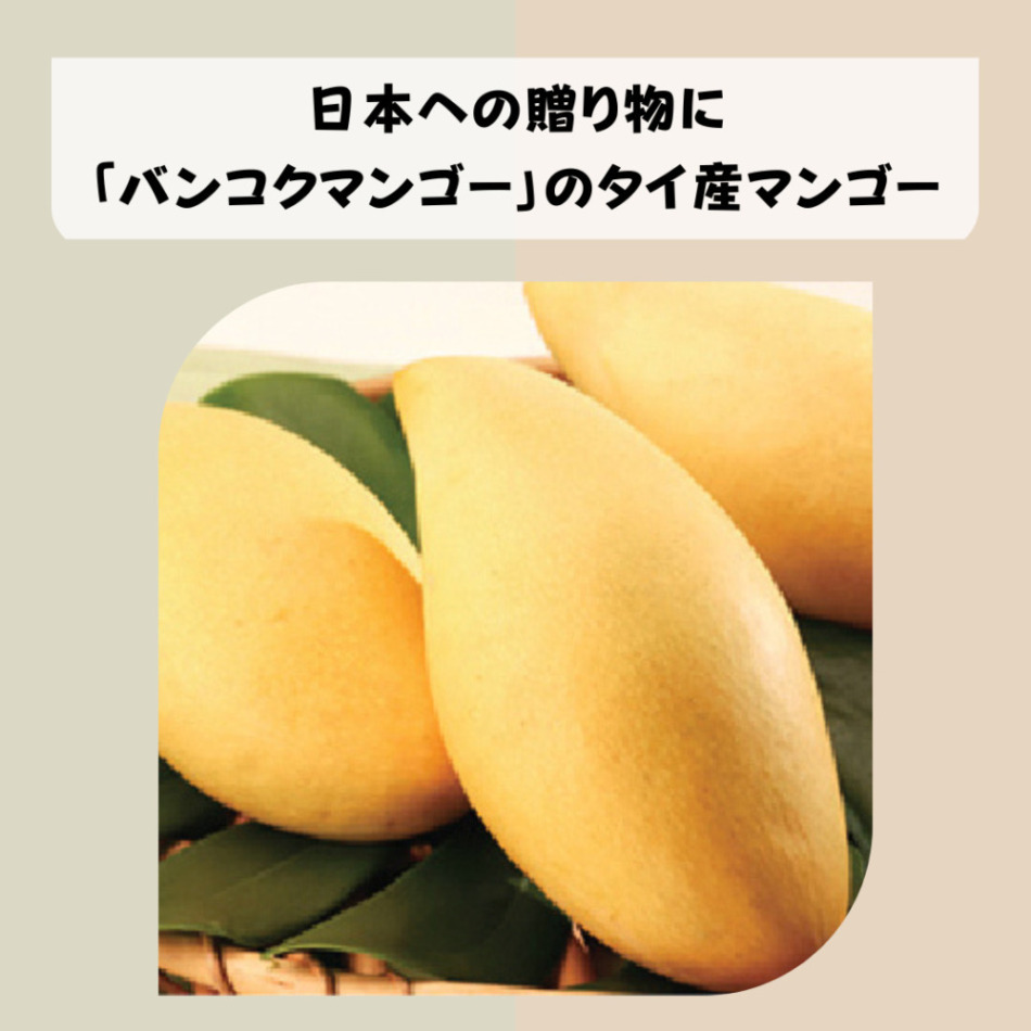 日本への贈り物に「バンコクマンゴー」のタイ産マンゴー