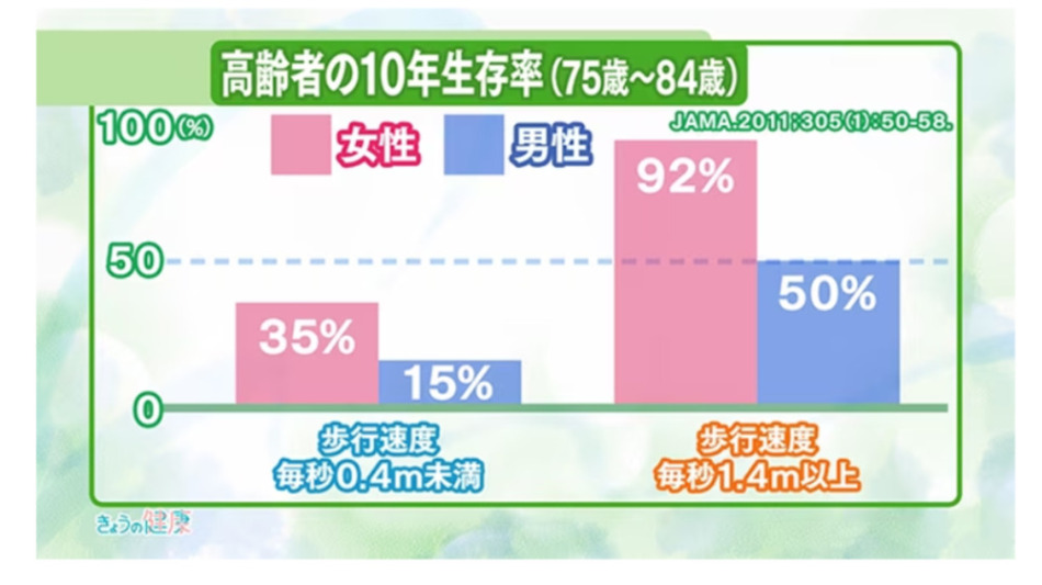 【図表4】歩行速度が速い人は長生き
（資料）NHK健康CH（2022/8/25）
