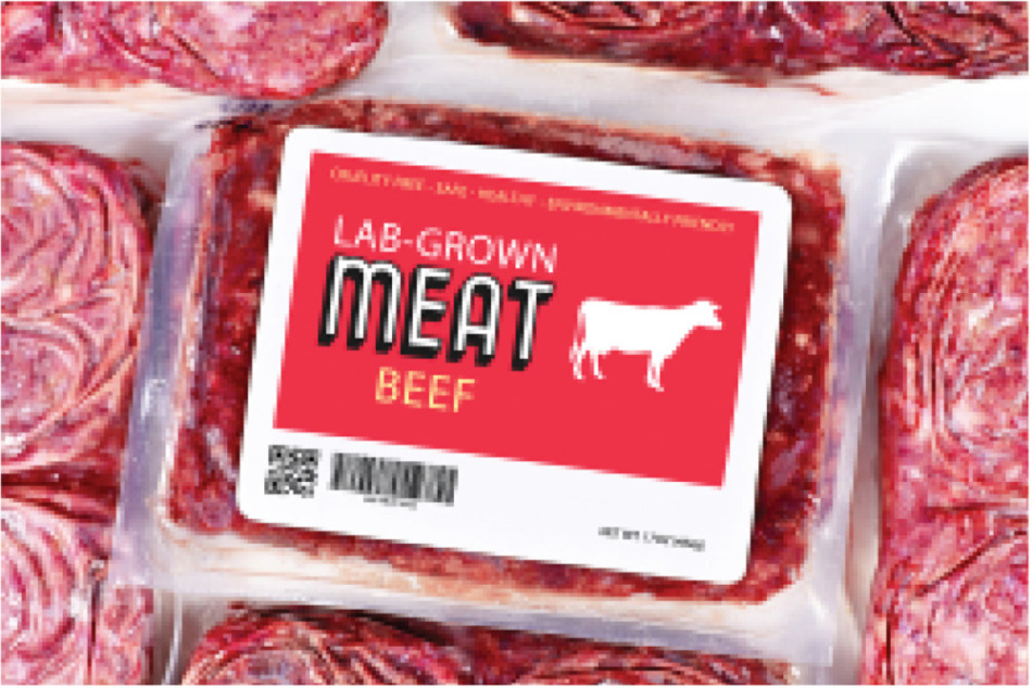 図表4】LAB-GROWN MEAT（培養肉）（資料）TABLESOURCE編集部20213/10/16
