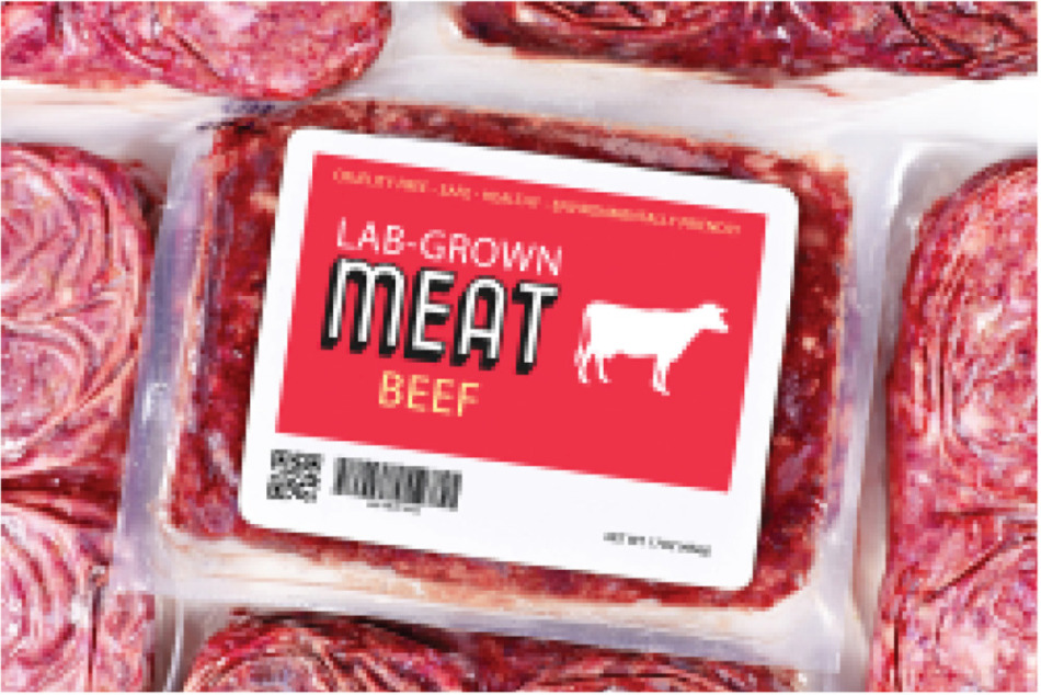 図表4】LAB-GROWN MEAT（培養肉）（資料）TABLESOURCE編集部20213/10/16
