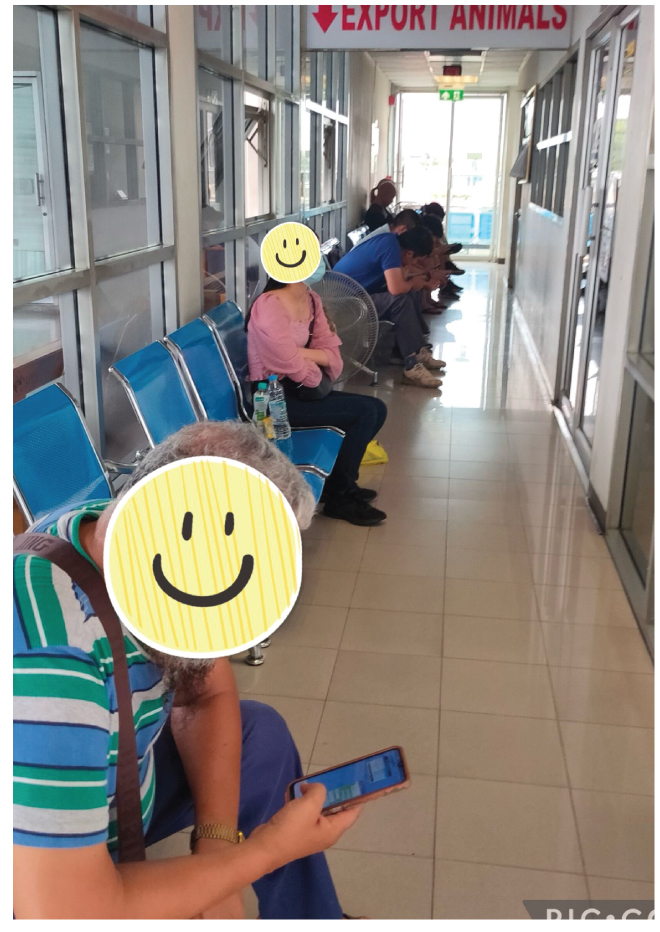 「トウィンクル」長い順番待ち