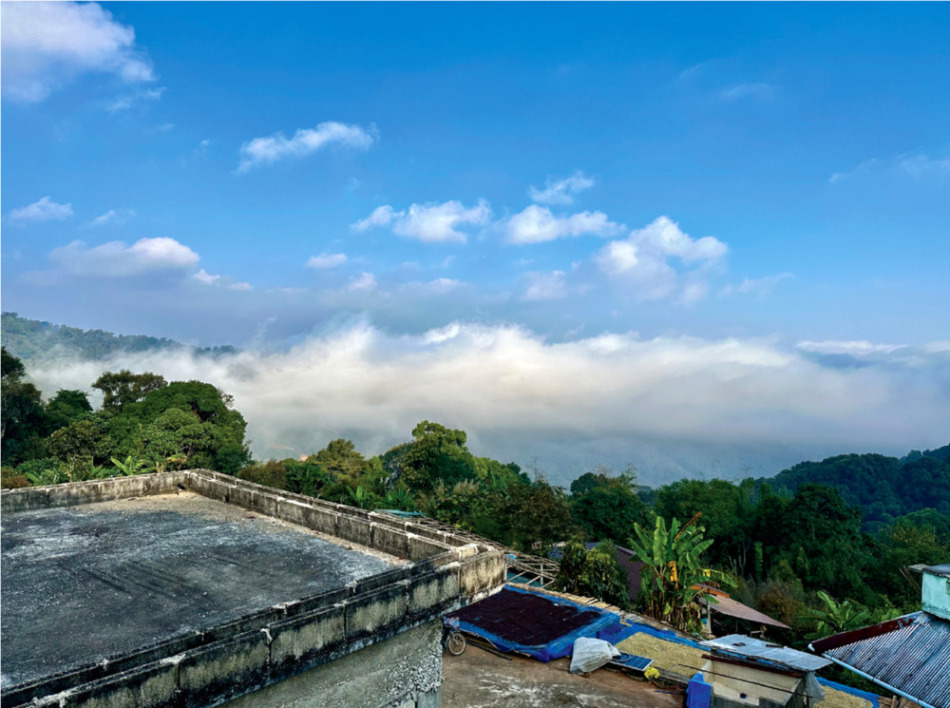 「アカメーチャン・タイコーヒーショップ」村は標高が高く雲海も見られる