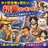 Thumbnail of post image 152