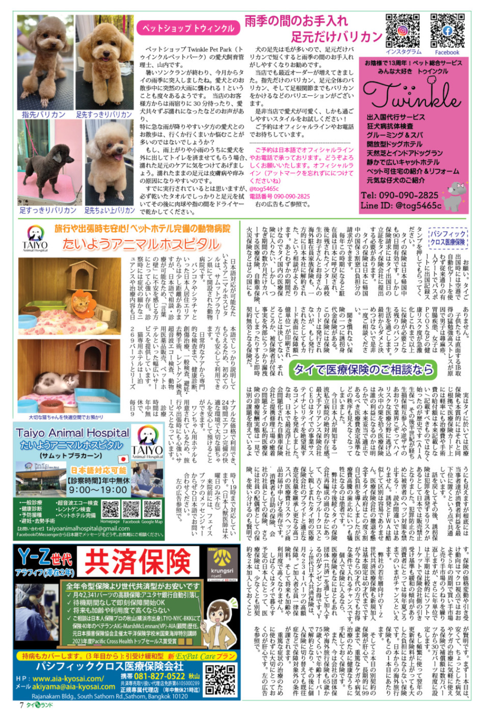 画像をクリックで拡大表示