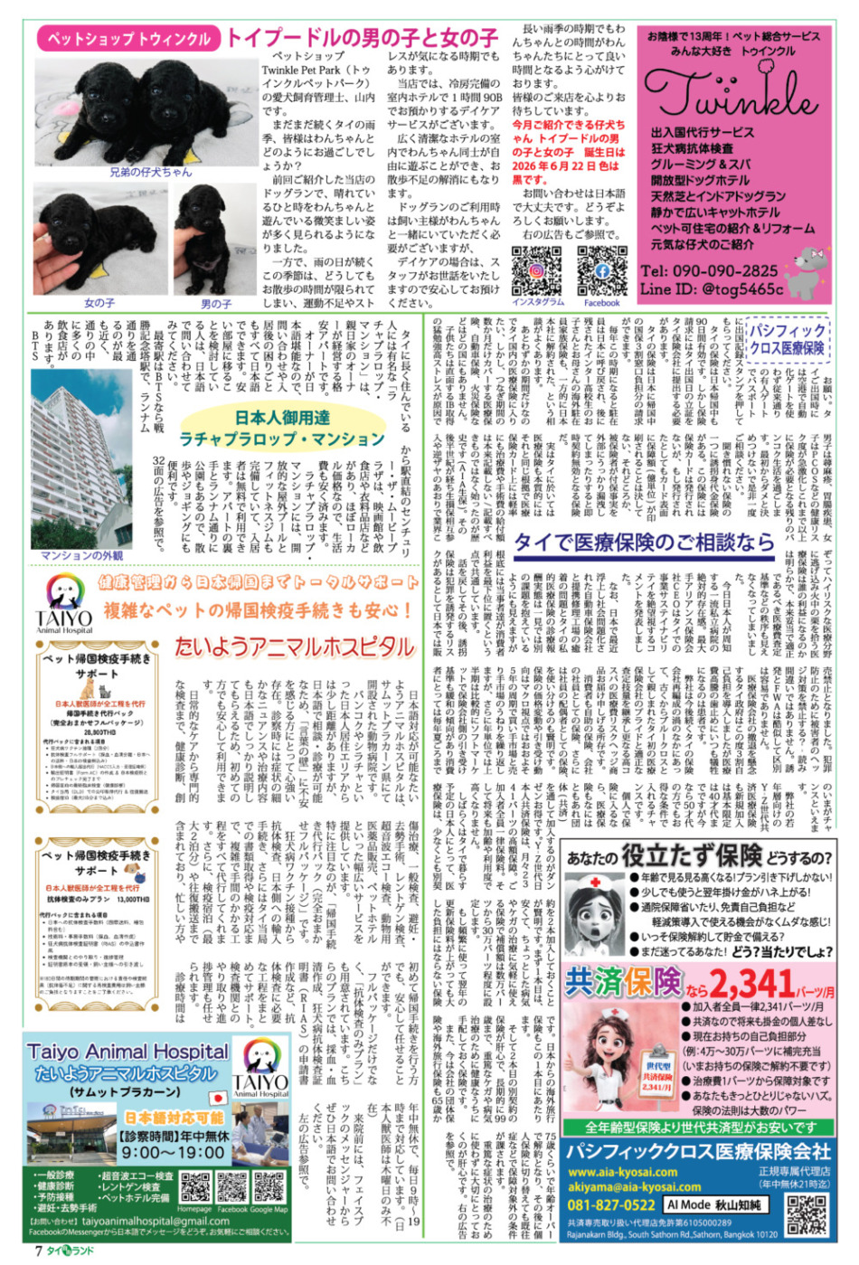 画像をクリックで拡大表示